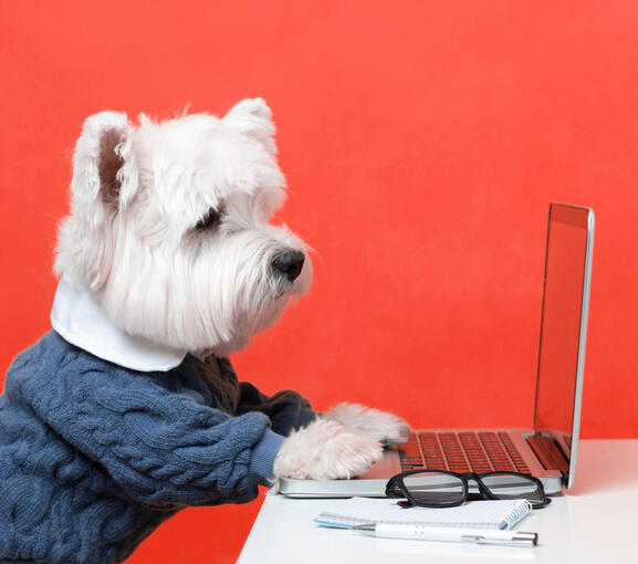 Nuestra Web